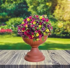Terracotta Grecian Urn Patio