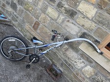 Trek Mountain Train tag-along