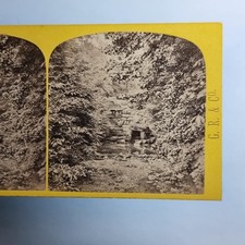 Windsor Stereoview C1870 Real