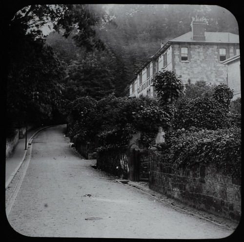 Antique magic lantern slide - antique,