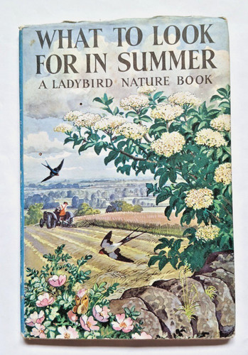 Ladybird book what - ladybird, for