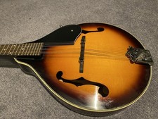 Encore Mandolin With Case In