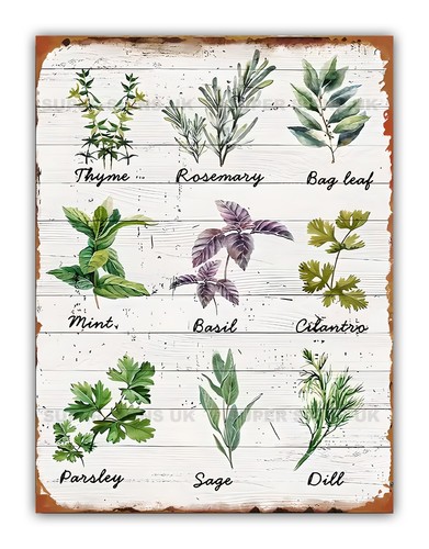 Herbs identification reference - herbs,