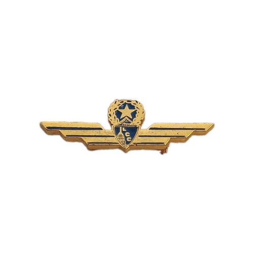 Vintage pilot wings gold tone - pilot,