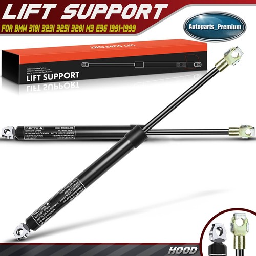 Pair front hood lift - front,