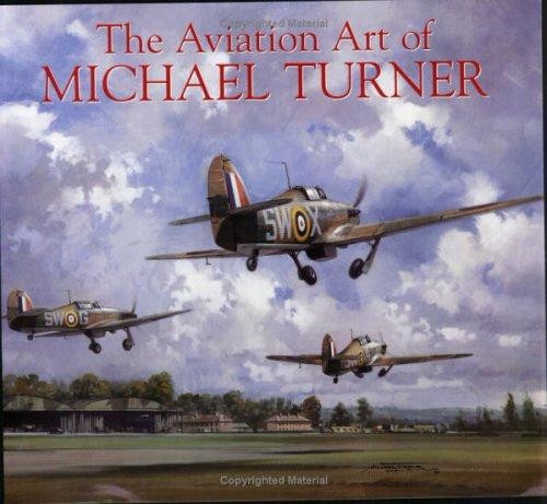 The aviation art michael - the,