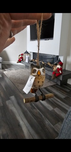Owls