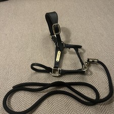 Kentucky Horsewear Anotomic