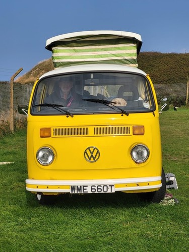 1979 volkswagen devon - 1979,