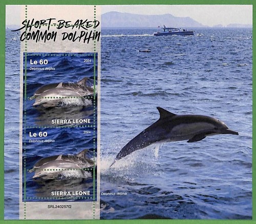 B2618 sierra leone - b2618,