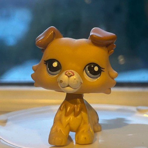 Genuine hasbro lps - hasbro,