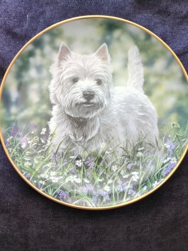 The bluebell trail plate - bluebell,