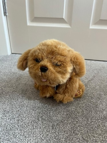 Little live pets dog - little,
