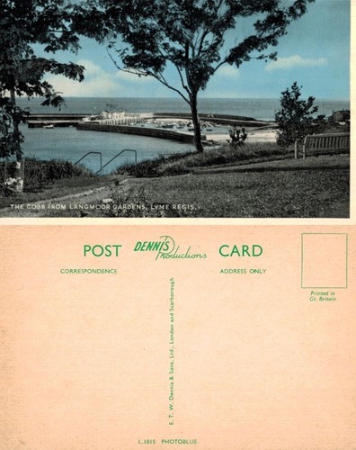 Vintage postcard the cobb - postcard,