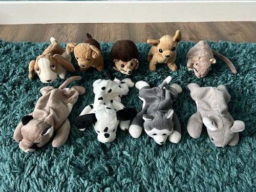 Beanie babies collection - beanie,