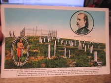 O5 MONTANA Postcard Curley