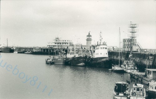 British mfv bernhid belgian - british,
