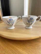 Tuscan Bone China English Tea Cups x 2