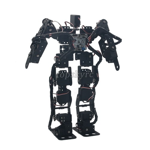 17dof humanoid biped - humanoid, robotic
