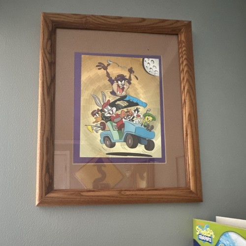 Warner bros framed - warner,