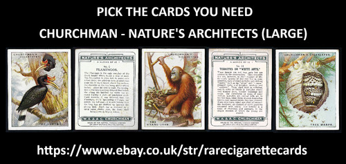 Churchman nature s - churchman,