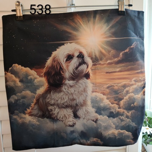 Shih tzu llasa - shih, apso