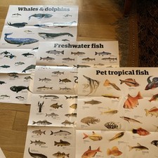 The Guardian Posters A1X3