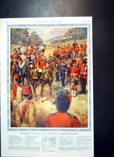 Old Regiments King Colonel In