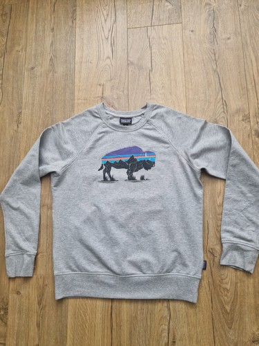 Patagonia mens jumper sweater