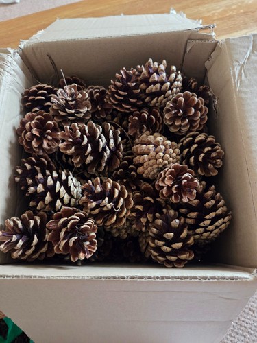 Pine cones natural - 80, cones,