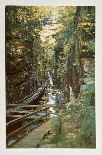 Vintage plastichrome postcard - plastichrome,
