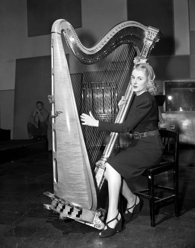 Radio harpist elaine vito - radio,