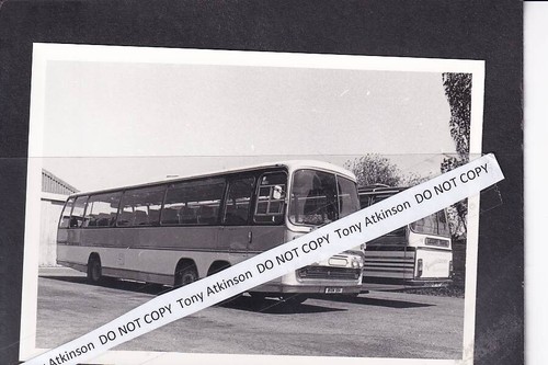 Bedford vals poynter s - bedford, poynter's