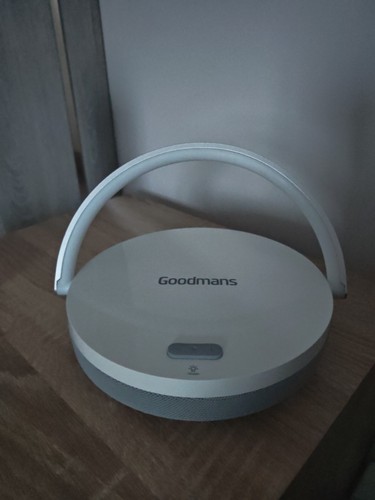 Goodmans speakers wireless - goodmans,