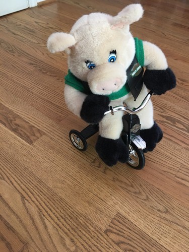 Harley davidson pig - harley, on