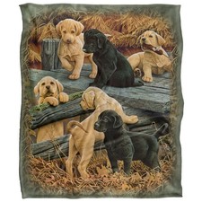 Rle Labrador Pups Silky Touch Super Soft Throw Blanket 152 X 127 cm