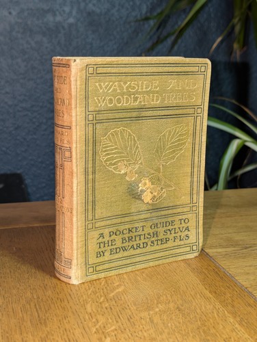 Wayside and woodland - woodland,
