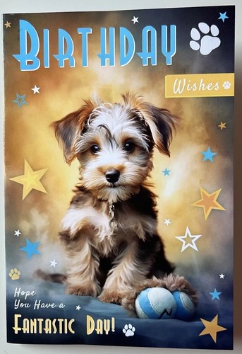 Yorkshire terrier cute yorkie - terrier,