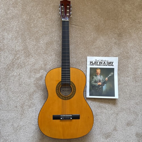 Beginners acoustic guitar - acoustic,