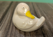 Small goose/ white duck