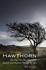 Hawthorn: The Tree That Has