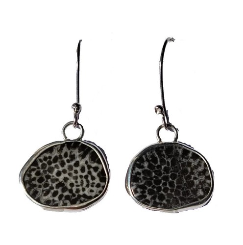 Rare black fossil coral - rare,