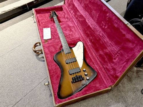 Gibson thunderbird - gibson,