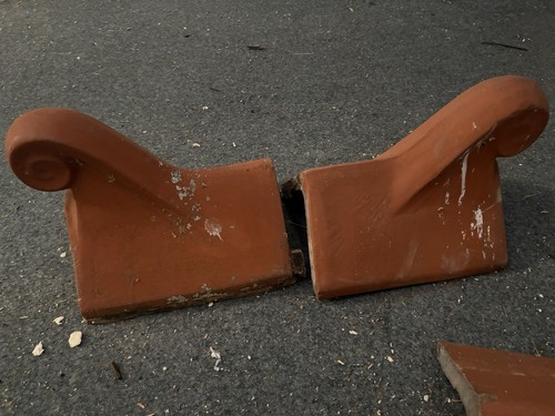 Terracotta swan neck roof - swan,