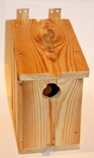 Wooden wood nesting nest boxes bird house small birds Blue Tit Sparrow