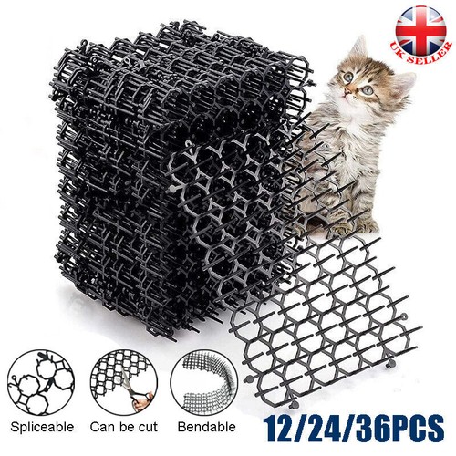36pcs cat scat mat spike - cat,