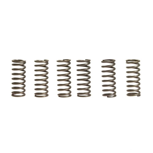 Clutch springs ebc rinf - 6,