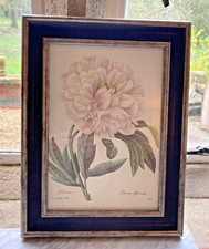 Pierre Joseph -Redoute  framed