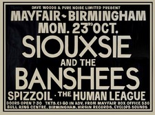 Siouxsie and the banshees /