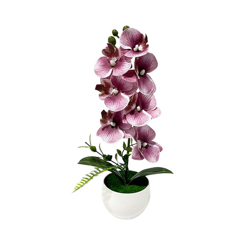 Artificial phalaenopsis orchid - artificial,